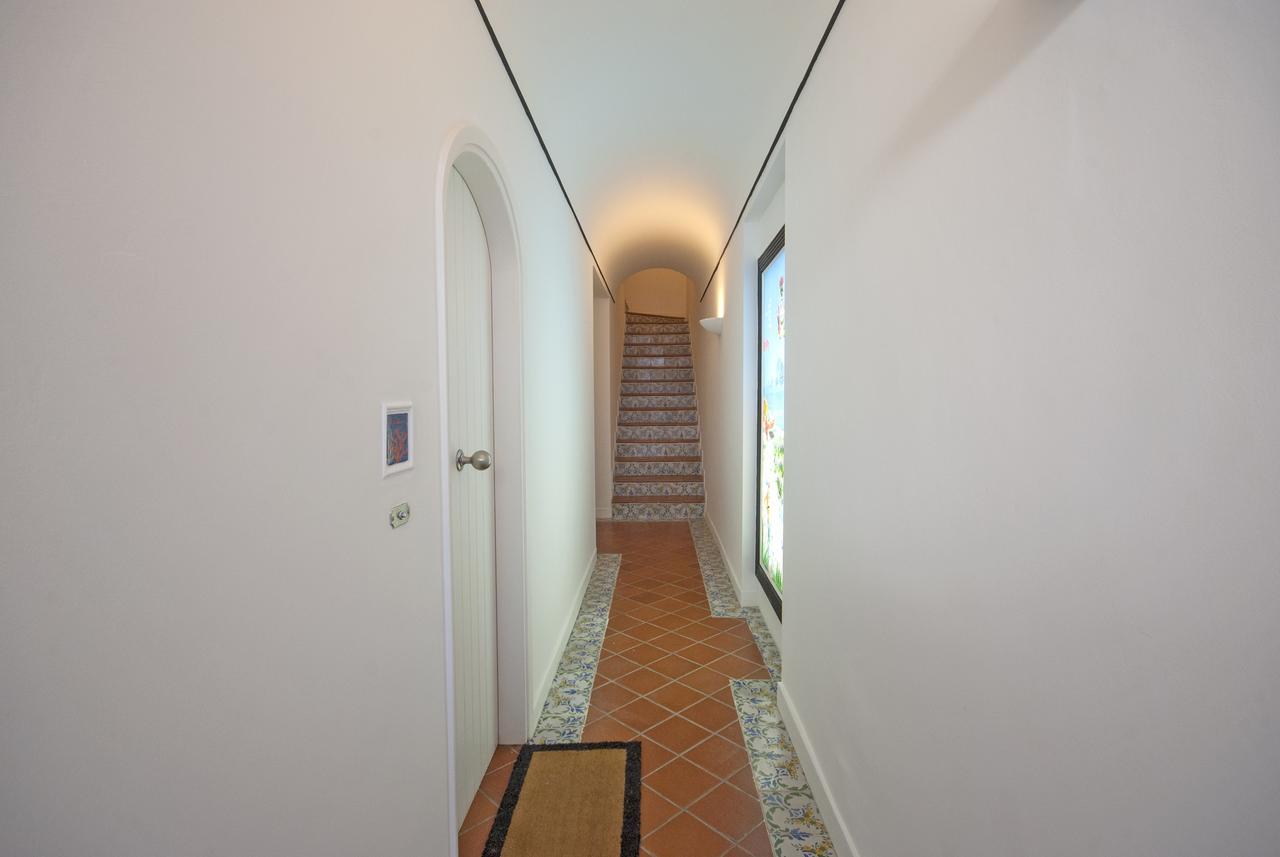 Carthusia Apartamento